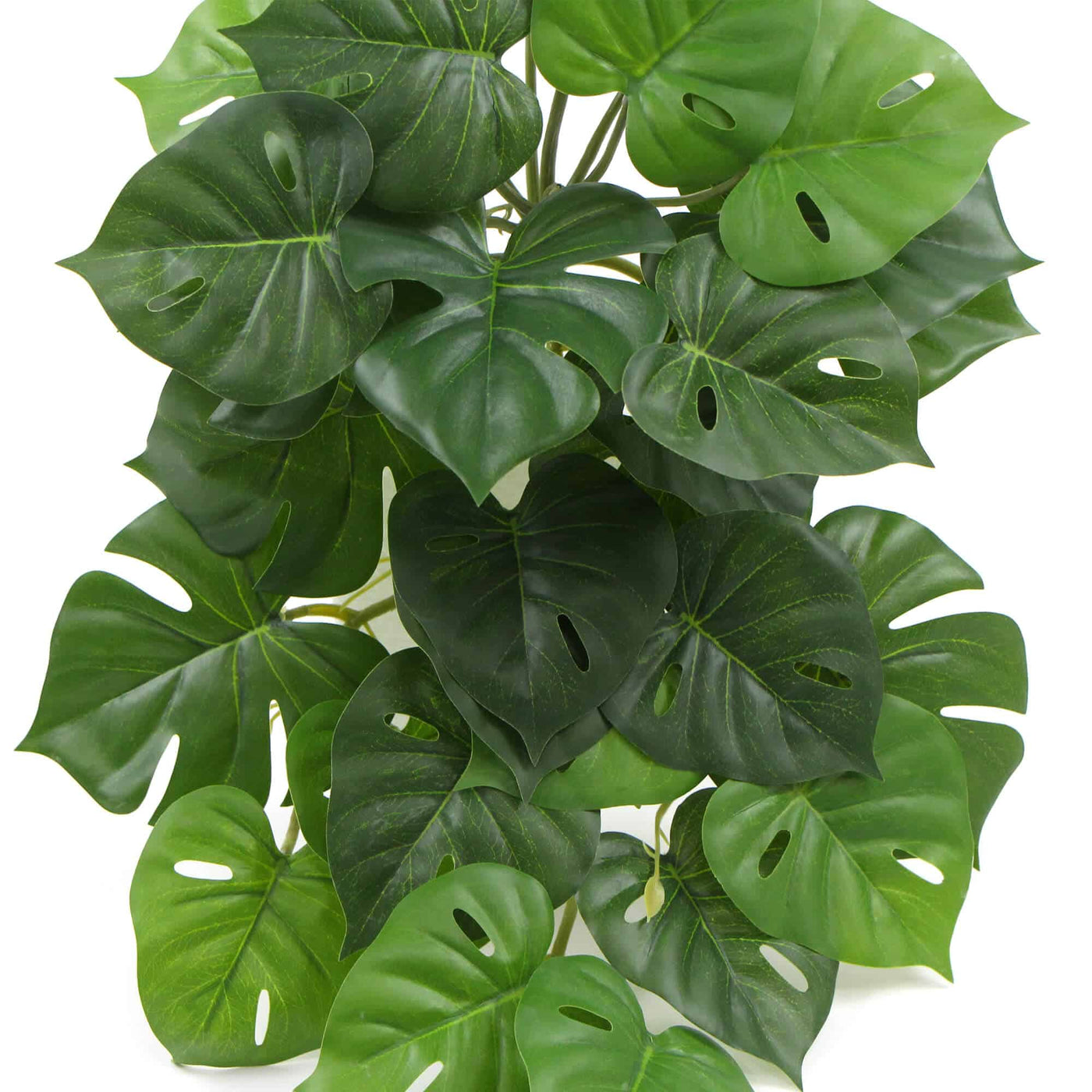 Artificial Monstera Adansonii Plant 50cm