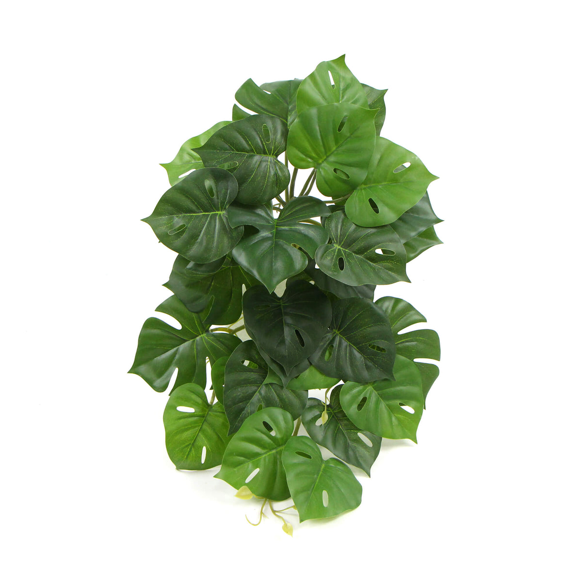 Artificial Monstera Adansonii Plant 50cm - Designer Plants