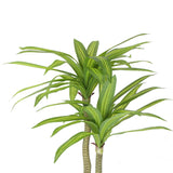 Artificial Multi Head Dracaena Tree with Mixed Green Leaves (Real Touch) 130cm