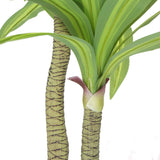 Artificial Multi Head Dracaena Tree with Mixed Green Leaves (Real Touch) 130cm