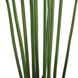 Artificial Multi Stem Hawaii Palm 190cm