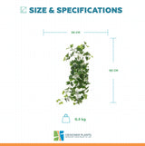 Artificial Nearly Natural Artificial Hanging Ivy Bush 90cm