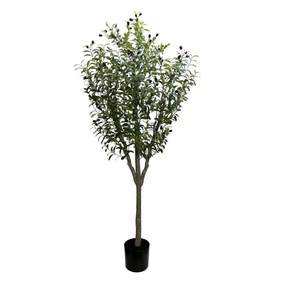 Artificial Bushy Olive Tree with Olives 180cm - Designer Plants