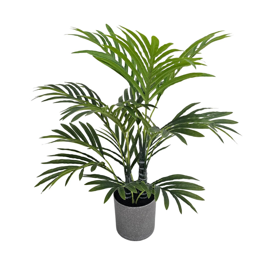 Premium Artificial Potted Premium Mini Palm Tree 55cm - Designer Plants