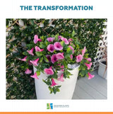 Artificial Petunia Hanging Basket UV Resistant 28cm