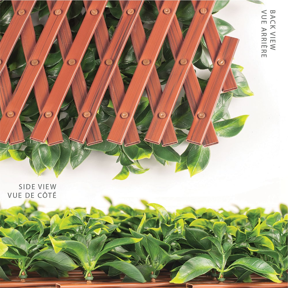 Wooden lattice panel with green leaves on a white background