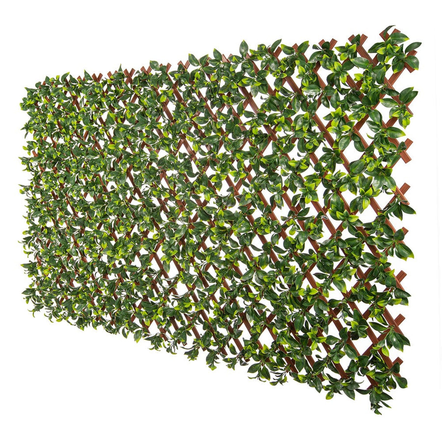 Premium Jasmine Artificial Hedge Extendable Trellis / Screen 2 Meter By 1 Meter UV Resistant (PVC) - Designer Plants