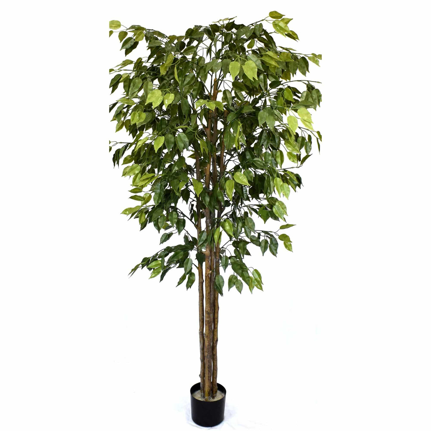 Artificial Ficus Tree 180cm Nearly Natural UV Resistant - Designer Plants