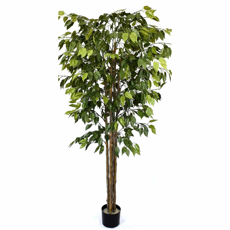 Artificial Ficus Tree 180cm Nearly Natural UV Resistant - Designer Plants