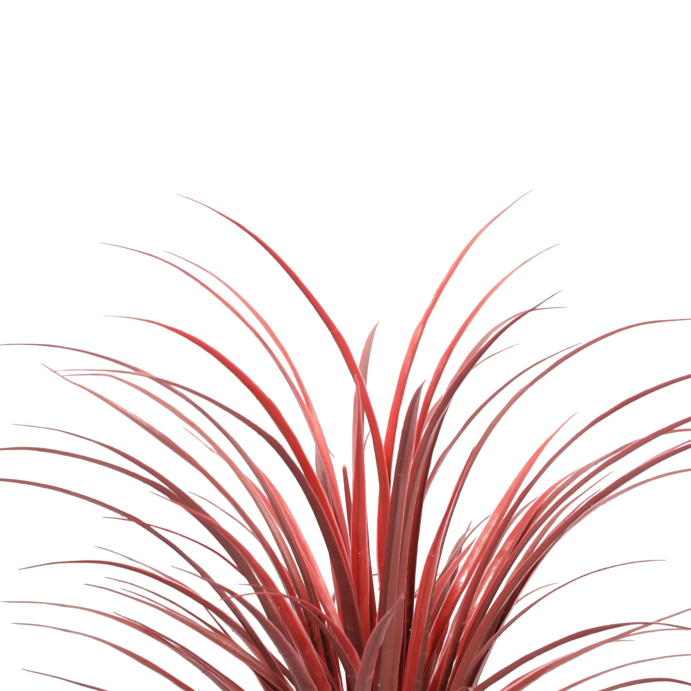 Burgundy Potted Artificial Long Grass (Yucca Grass) 75cm UV Resistant
