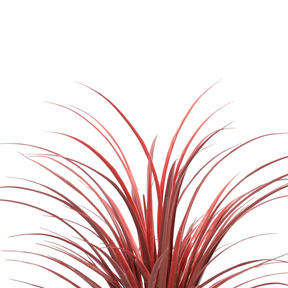 Burgundy Potted Artificial Long Grass (Yucca Grass) 75cm UV Resistant