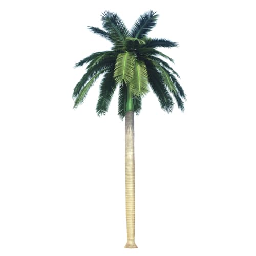 Tall Artificial Royal Coconut Palm Tree (4m to 7m) UV Resistant - Designer Plants