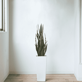 Artificial Snake Plant Sansevieria UV Resistant 90cm
