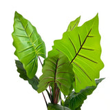 Nearly Natural Artificial Tree Taro Elephant Ear Palm 170cm