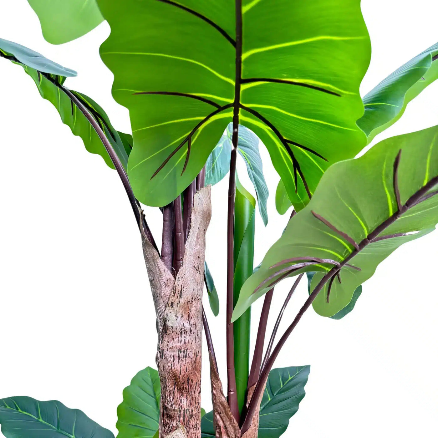 Nearly Natural Artificial Tree Taro Elephant Ear Palm 170cm