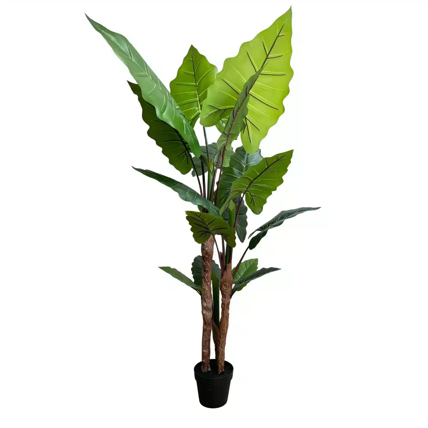 Nearly Natural Artificial Tree Taro Elephant Ear Palm 170cm - Designer Plants