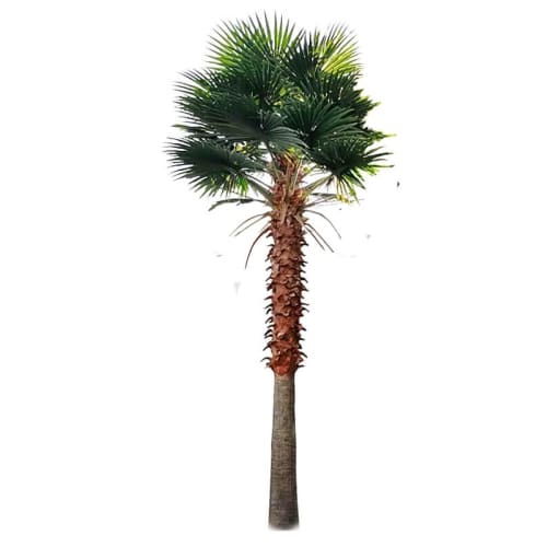 Tall Artificial Fan Palm Tree (4m to 7m) UV Resistant - Designer Plants
