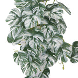 Artificial White & Green Monstera Albo Variegata 45cm