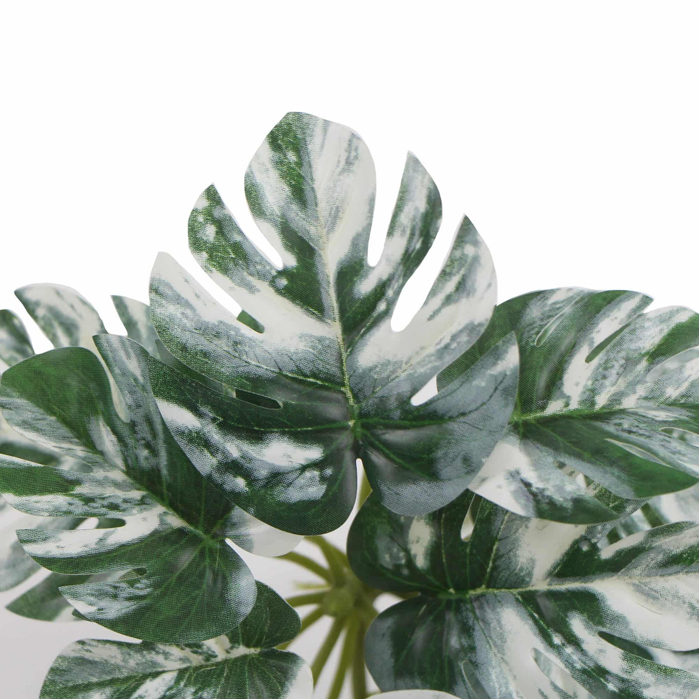 Artificial White & Green Monstera Albo Variegata 45cm
