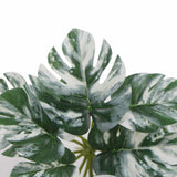 Artificial White & Green Monstera Albo Variegata 45cm