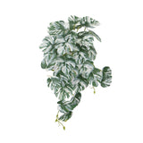 Artificial White & Green Monstera Albo Variegata 45cm - Designer Plants