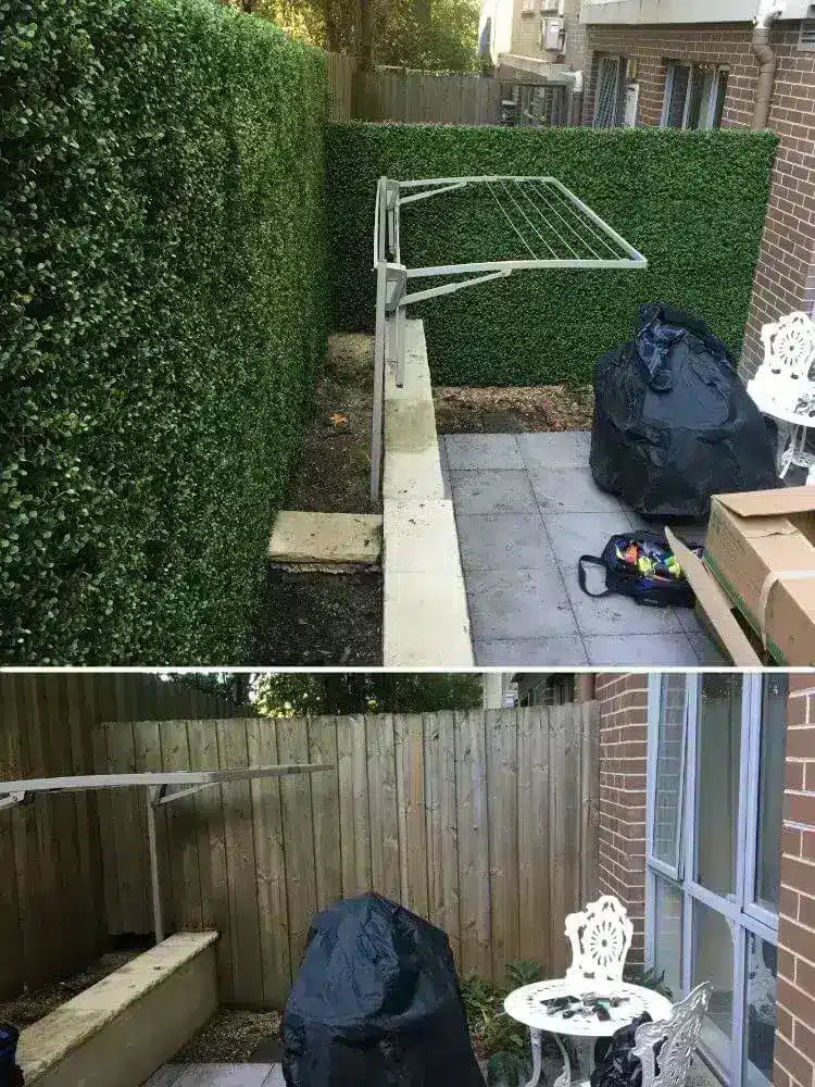 Premium Buxus Hedge Panels Installed onto a Timber Fence