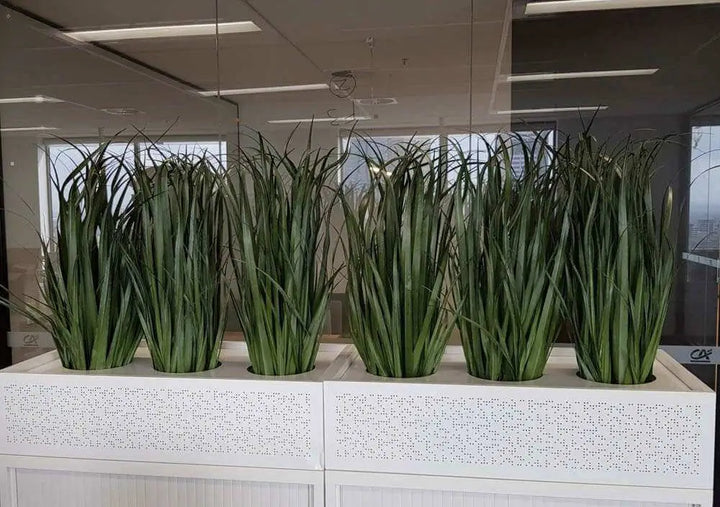 Five potted artificial green ornamental grass plants arranged in a row on a white display stand inside an office space with glass walls and ceiling lights visible.
