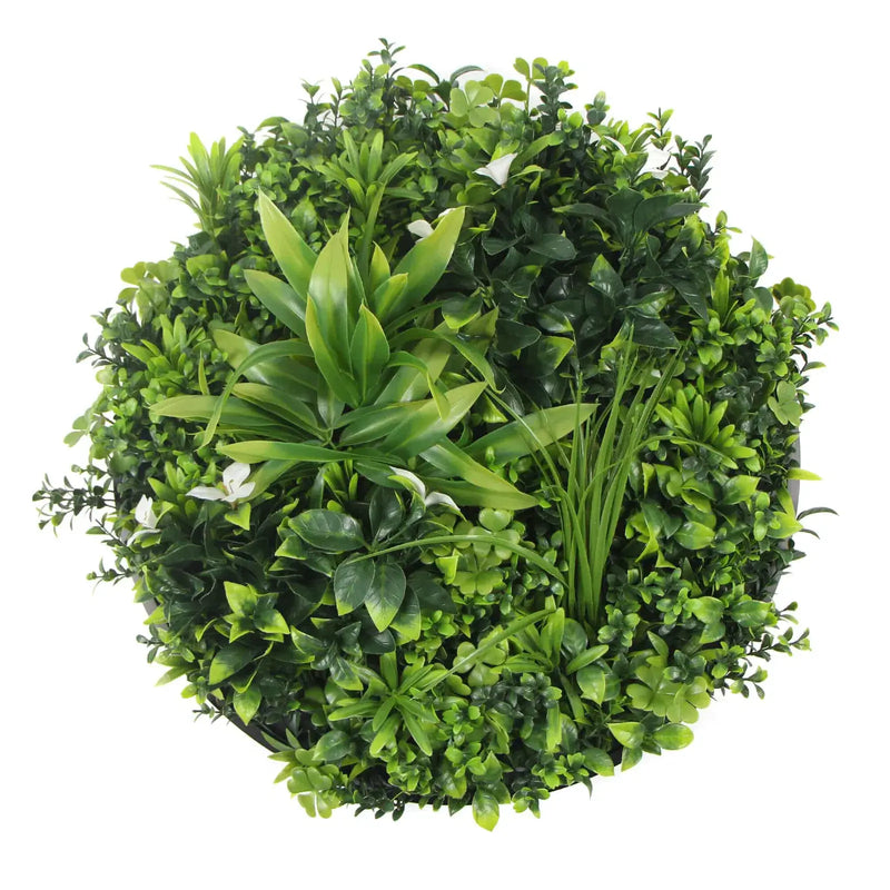 Slimline Flowering White Artificial Green Wall Disc UV Resistant 50cm (Black Frame) - Designer Plants