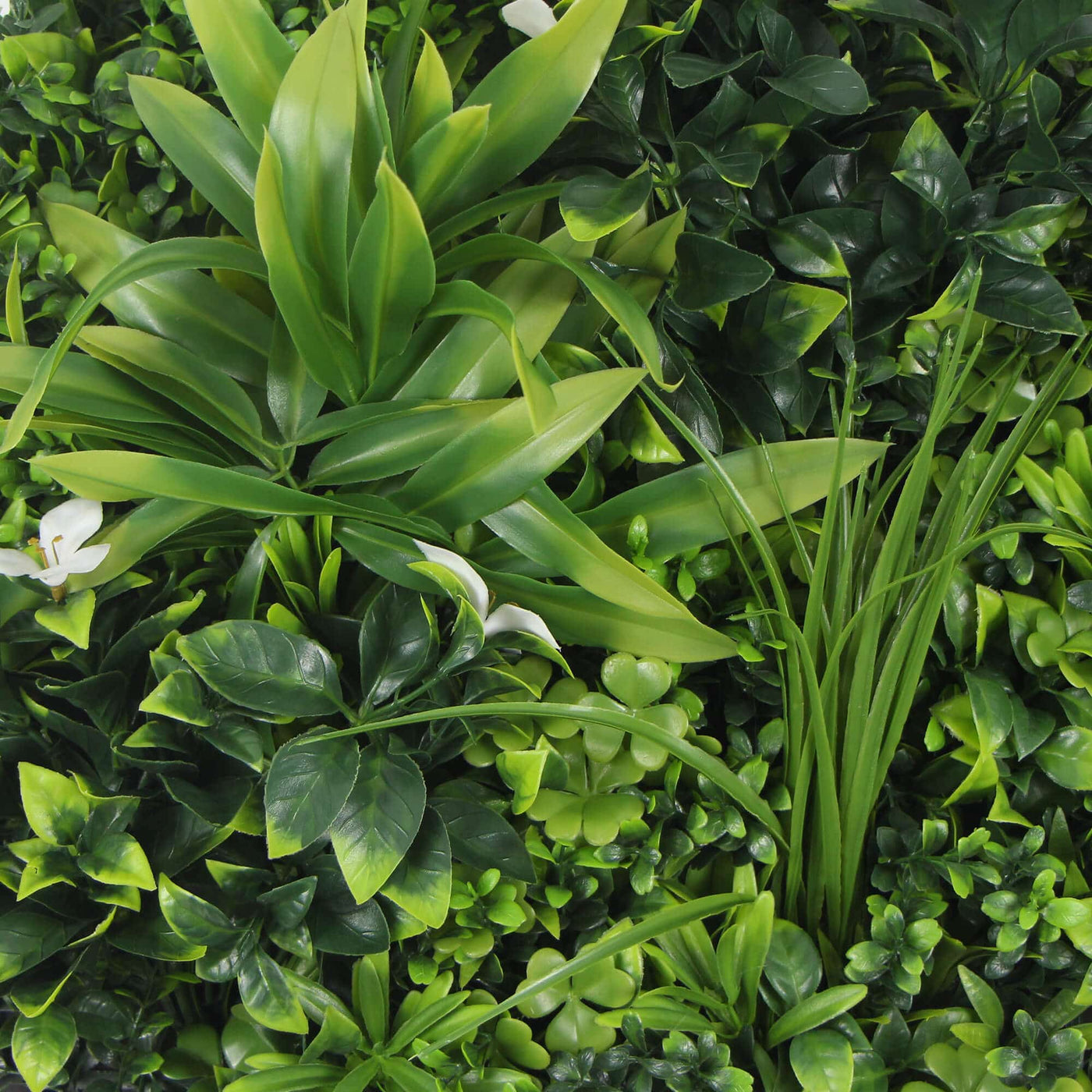 Slimline Flowering White Artificial Green Wall Disc UV Resistant 50cm (Black Frame)