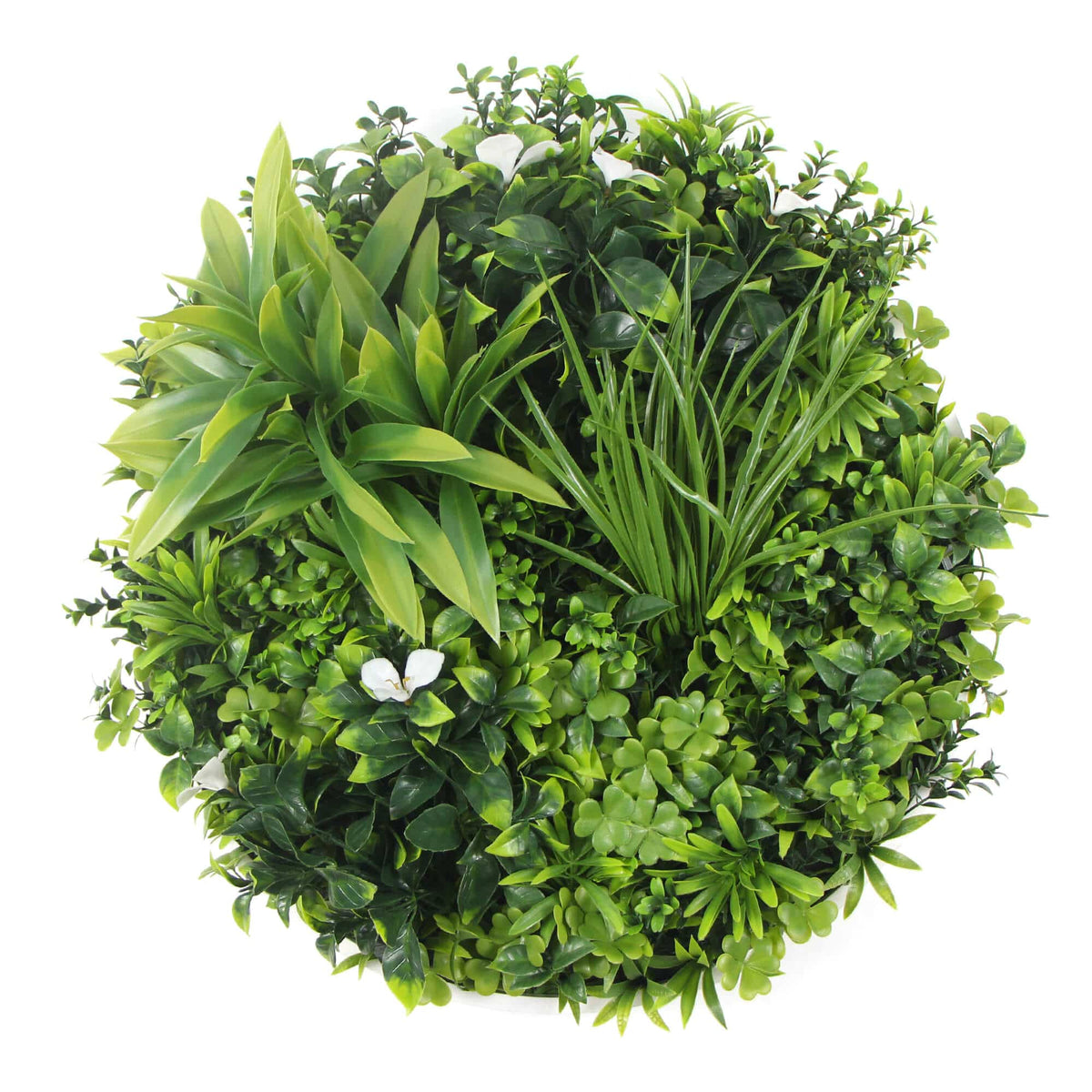 Flowering White Artificial Green Wall Disc UV Resistant 50cm (White Frame) - Designer Plants