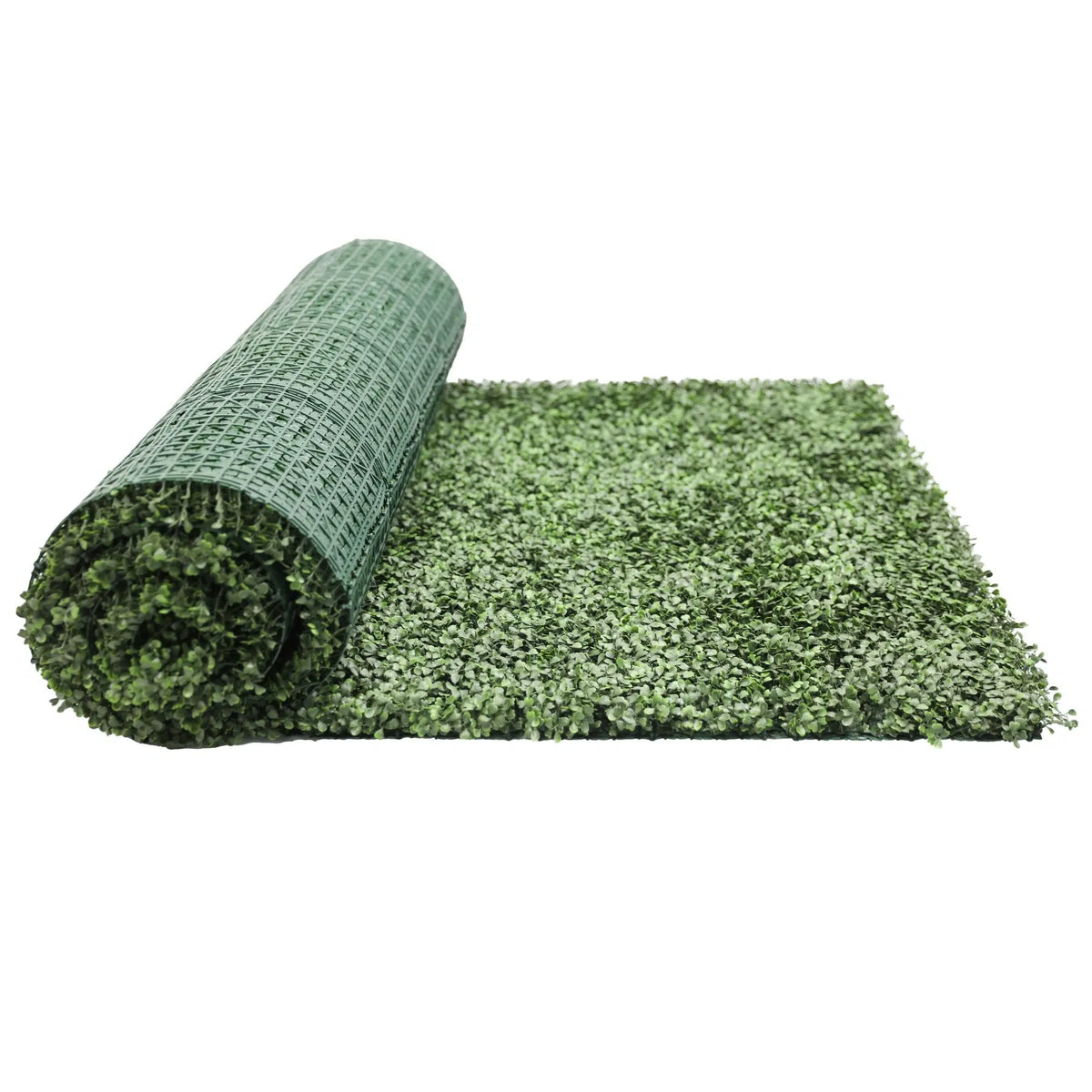Premium Artificial Boxwood Roll 3m x 1m With Privacy Backing - Designer Plants