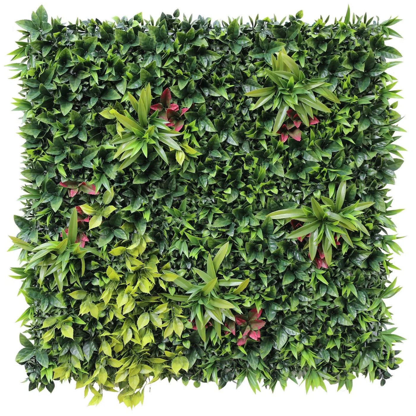 Dense Green Meadows Vertical Garden / Green Wall UV Resistant 1m x 1m - Designer Plants