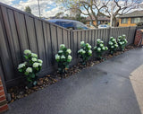 Artificial Flowering White Hydrangea Potted Plant