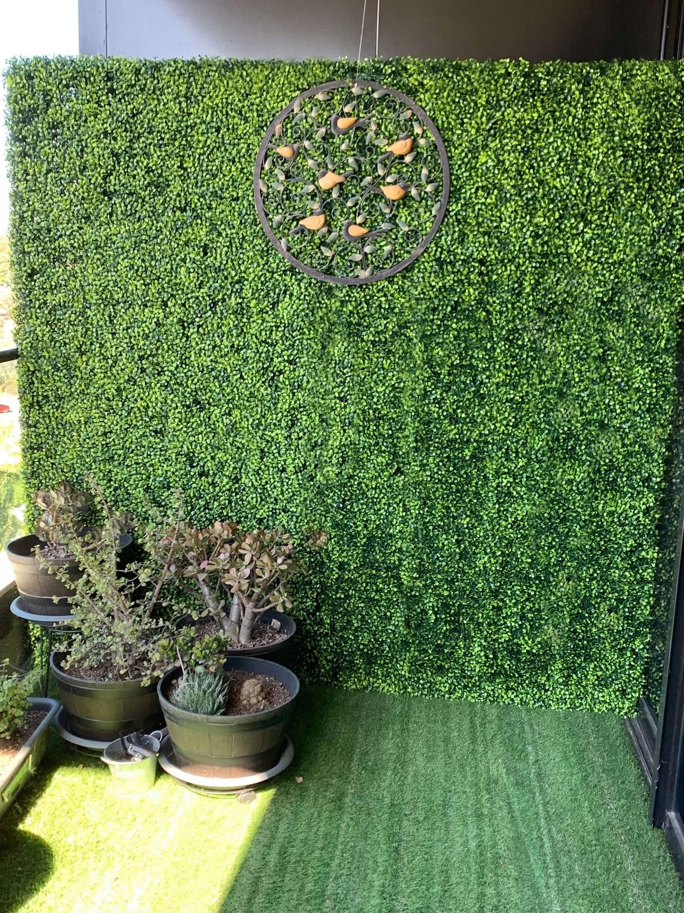Large Portable Mixed Boxwood Hedge UV Resistant 100cm Long x 200cm High