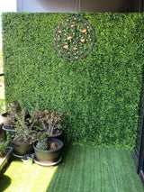 Large Portable Mixed Boxwood Hedge UV Resistant 100cm Long x 200cm High
