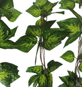 Artificial Pothos / Ivy Hanging Vines 260cm Each (5 pack) - Designer Plants