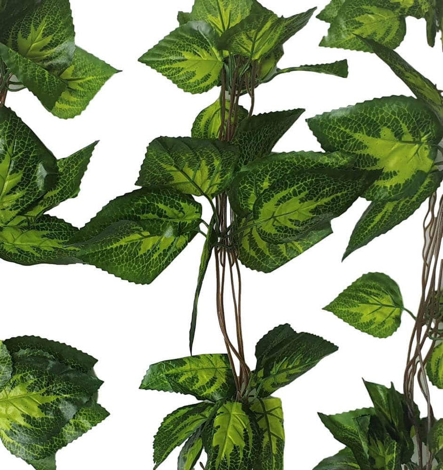 Artificial Pothos / Ivy Hanging Vines 260cm Each (5 pack) - Designer Plants