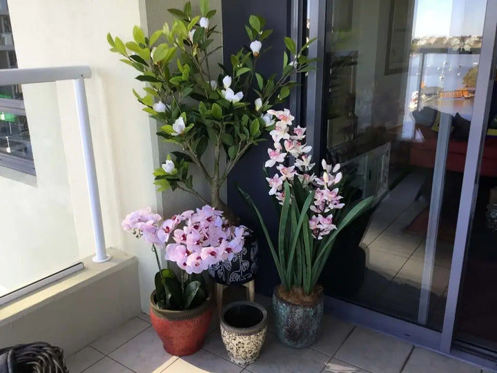 Potted plants on a balcony with a view of an apartment interior.