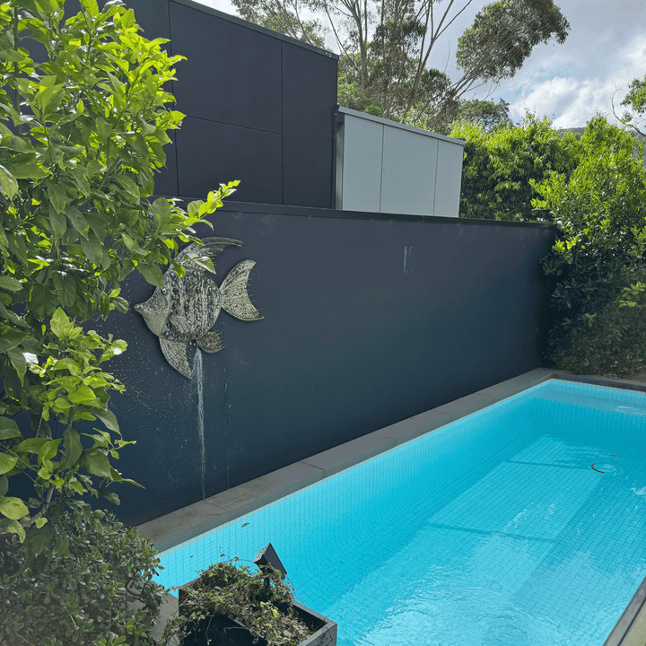 A modern outdoor swimming pool with bright blue water, bordered by a dark charcoal wall featuring a fish-shaped water feature, surrounded by lush green foliage.