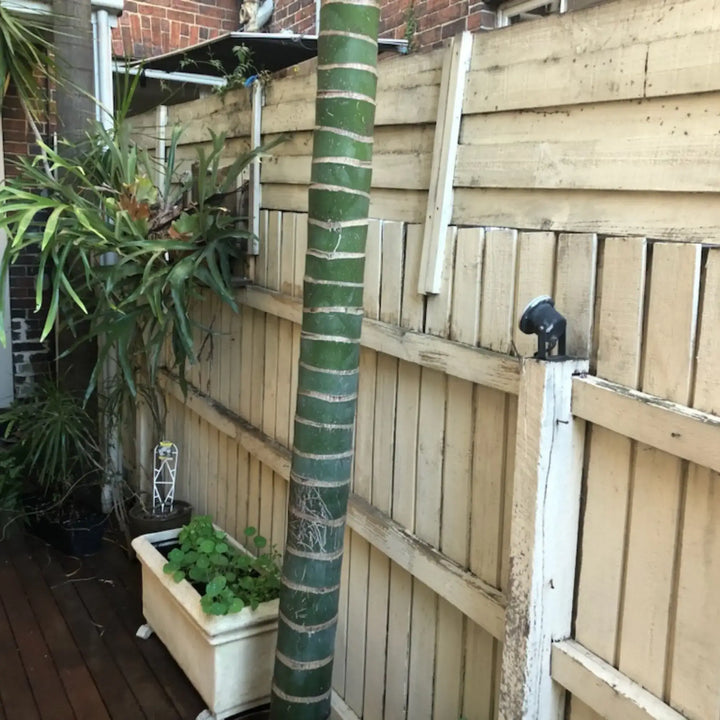 A tall green bamboo pole standing vertically in a backyard next to a light-colored wooden fence, with potted plants and a wooden deck visible.