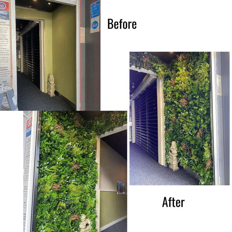 Before and After Installation of Luxury Amazon Jungle Recycled Vertical Garden