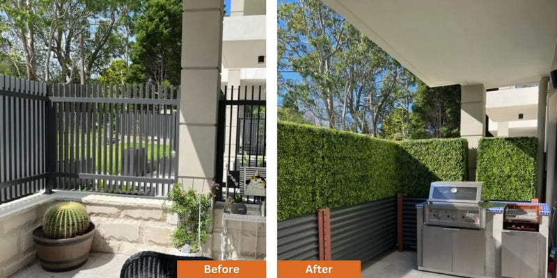 Privacy Made Easy with Boxwood Hedges