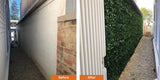 Boston Ivy Leaf Screen Green Wall Panel UV Resistant 1m x 1m