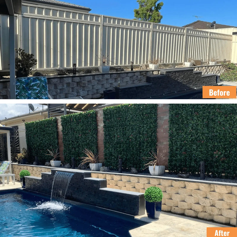 An enchanting metamorphosis with Photinia (Red Robin) Hedge Leaf Screens