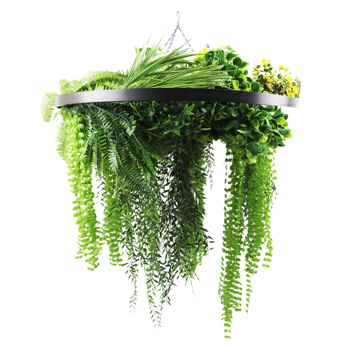 Black Artificial Hanging Plant Disc Chandelier with Realistic Draping Greenery & Ferns — 80cm UV Resistant - Designer Plants