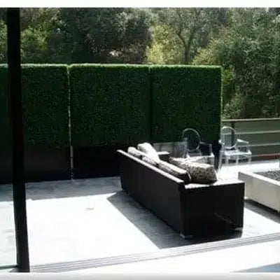Custom made dark green boxwood hedges