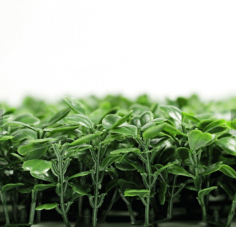 Boxwood Hedge Leaf Screens / Panels UV Resistant SAMPLE