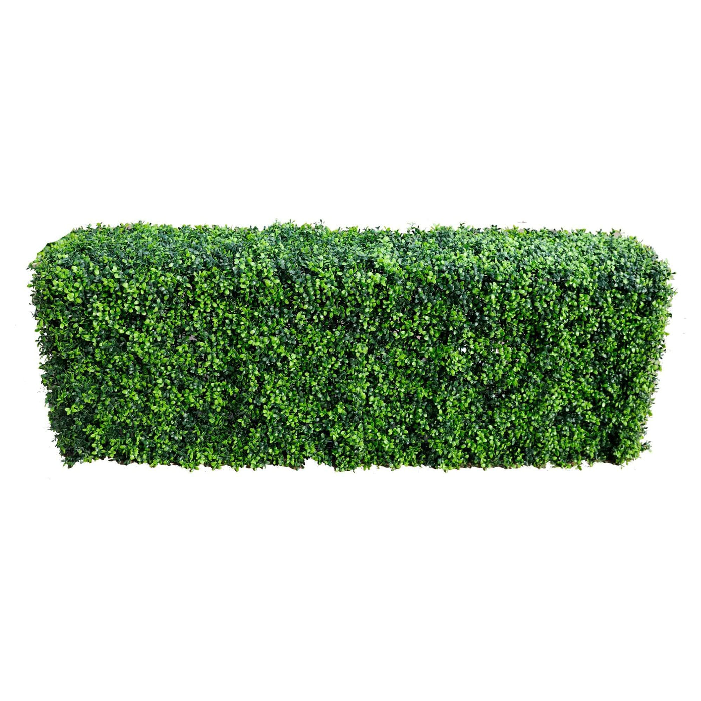 Luxury Deluxe Portable Buxus (Bright) UV Resistant 100cm Long x 50cm High x 25cm Wide