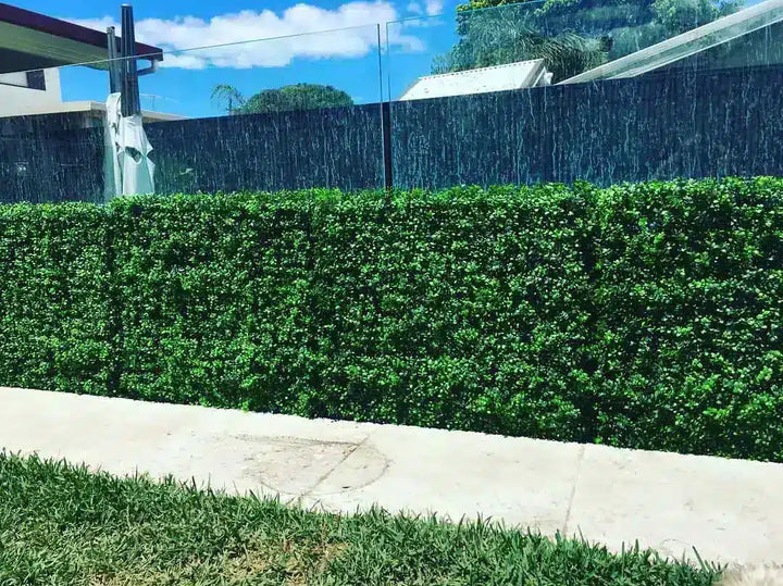 A tall, dense green hedge running horizontally in front of a modern glass wall and dark fence, with a concrete sidewalk and grass in the foreground.