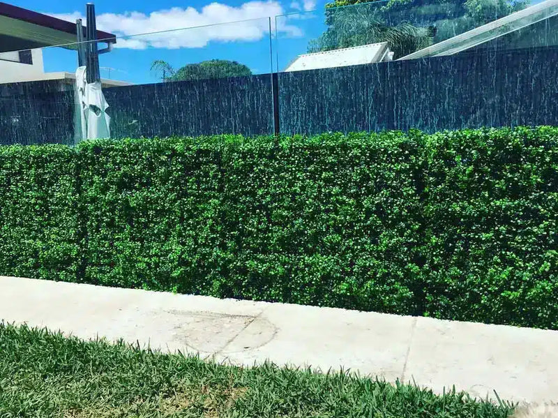 Bright buxus fake hedges